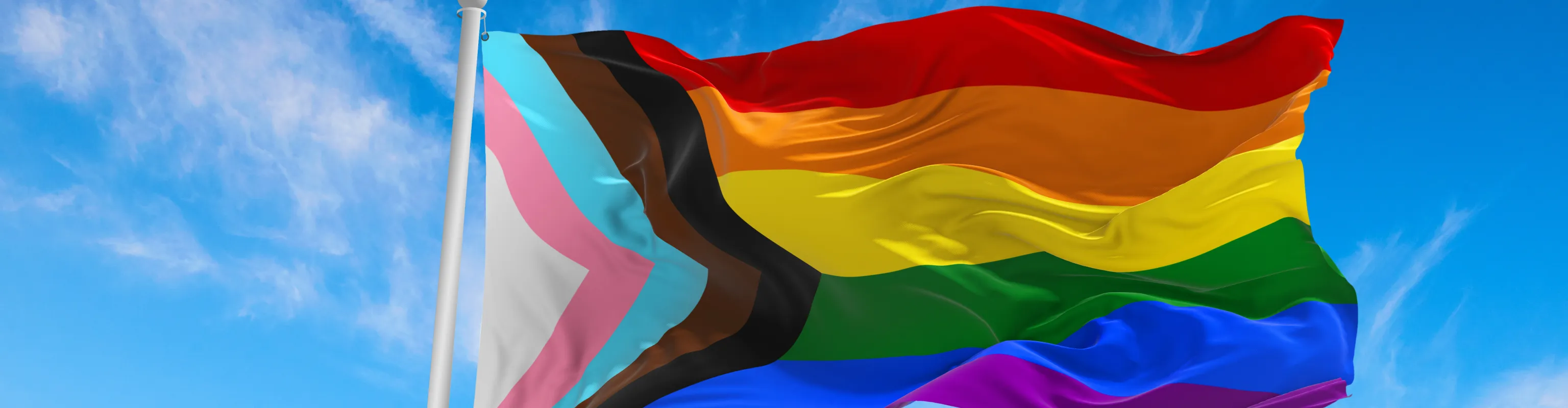 Image of the pride flag