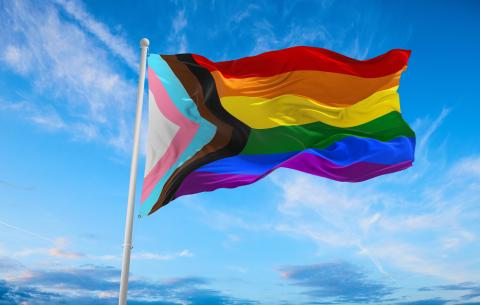 Image of the pride flag