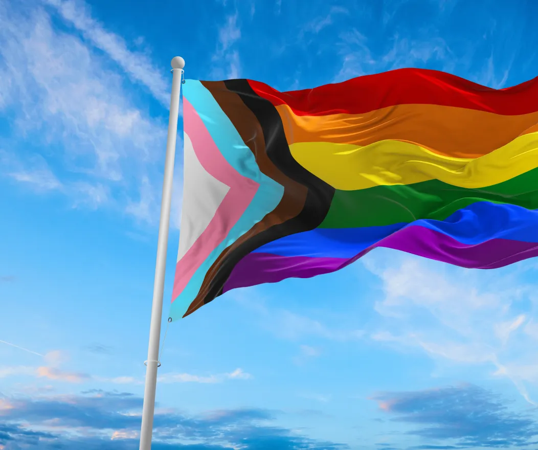 Image of the pride flag