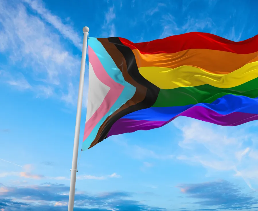 Image of the pride flag